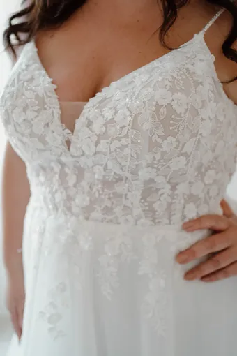 Rivers Signature collection WD176 CY #13 frontface vertical cropped thumbnail