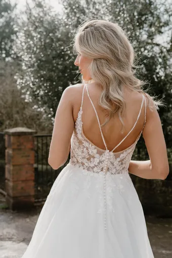 Rivers Signature collection WD176 CY #25 backface vertical cropped thumbnail