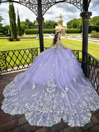 House of Wu 80009 #4 default backface vertical thumbnail