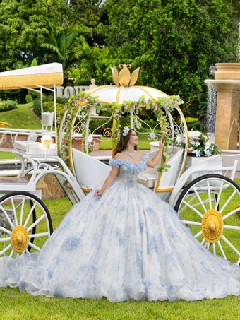 House of Wu 80010 #0 default frontface vertical thumbnail