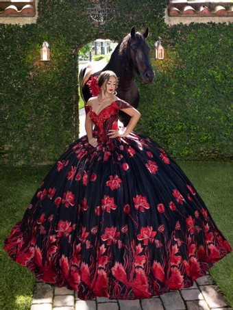 House of Wu 80014 #0 default frontface vertical thumbnail