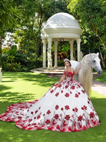 House of Wu 80014 #1 frontface vertical thumbnail