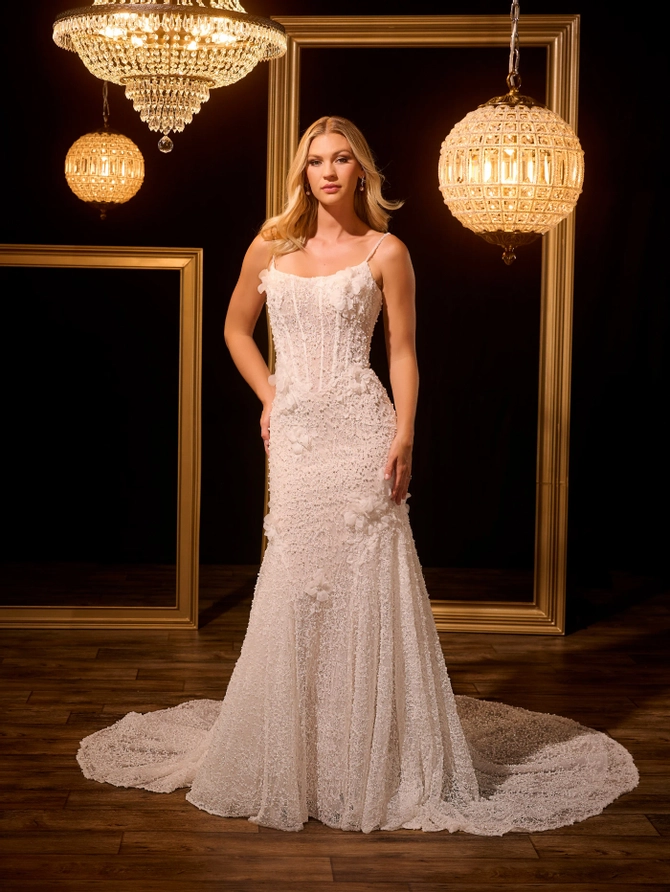 15954__d_f.670.webp