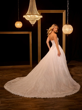 Christina Wu Brides #15956 #2 backface vertical thumbnail