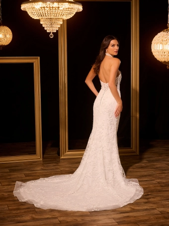 Christina Wu Brides #15958 #2 backface vertical thumbnail