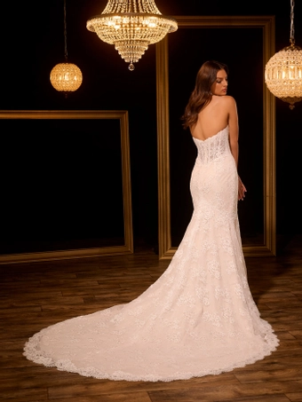 Christina Wu Brides #15960 #2 backface vertical thumbnail