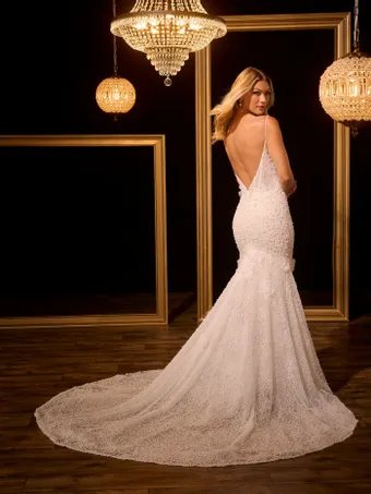 Christina Wu Brides 15954W 15954W #1 default backface vertical thumbnail