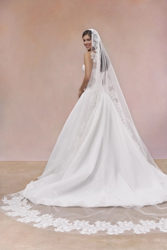 Maria Farbinni Frida #1 backface vertical thumbnail