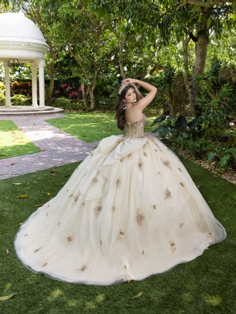 Fiesta Style #56525 #2 backface vertical thumbnail