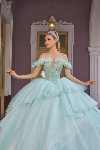 Shankara Style #FRN2030 #2 frontface vertical cropped thumbnail