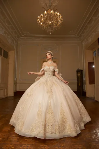 Shankara Style #FRN2079 #0 default frontface vertical thumbnail