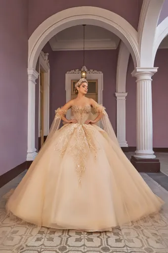 Shankara Style #FRN2099 #0 default frontface vertical thumbnail