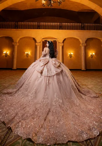 Vizcaya by Morilee Style #4080013 $7 default backface vertical thumbnail