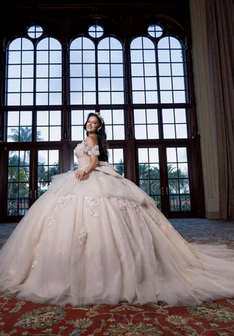 Vizcaya by Morilee Style #4080017 $1 frontface vertical thumbnail