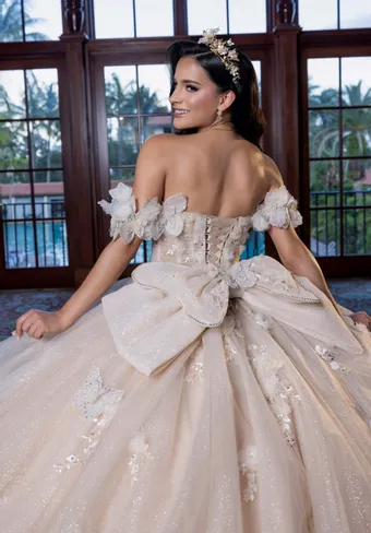 Vizcaya by Morilee Style #4080017 $9 backface vertical cropped thumbnail