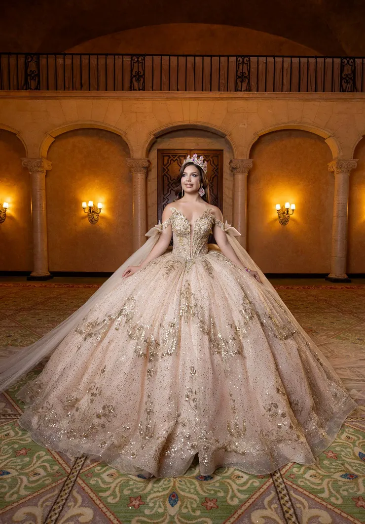 Vizcaya Style #4080028 Default Thumbnail Image