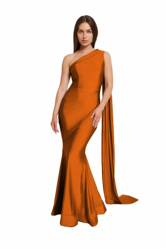 Bari Jay Style #2513 #16 frontface vertical thumbnail