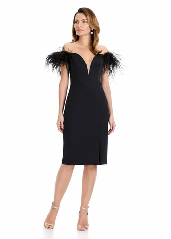 Ashley Lauren E4959 #1 frontface vertical thumbnail