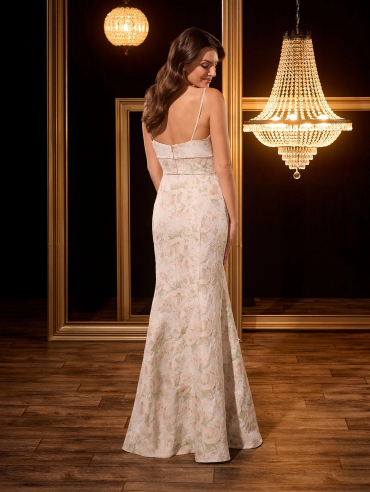 Christina Wu Celebration Style #22278 #1 default backface vertical picture