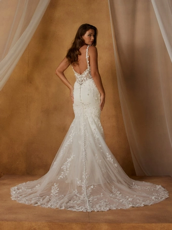 Madi Lane ML26216 #2 default backface vertical thumbnail