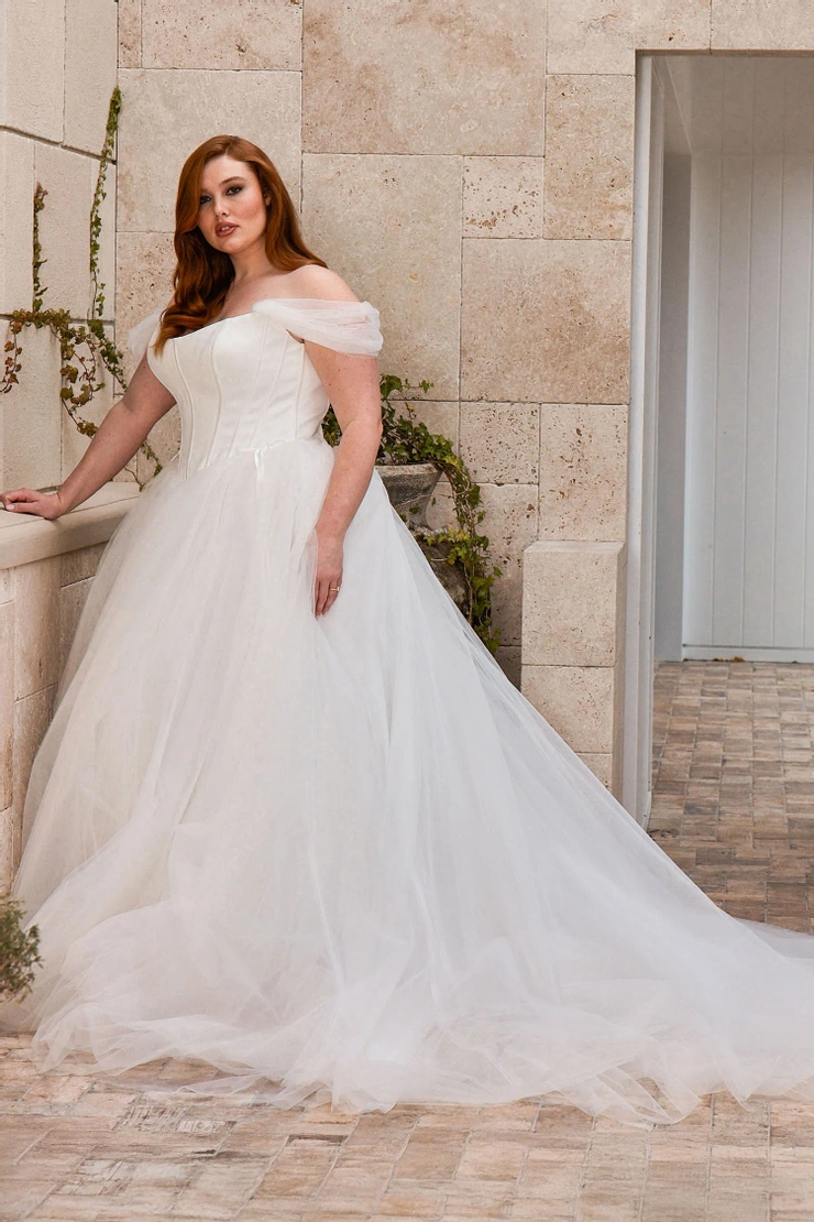 Evie Young EY730LL #1 frontface vertical picture