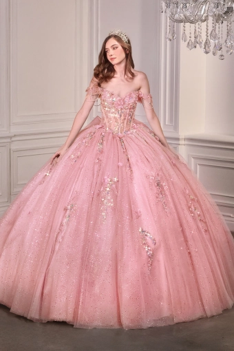 Ladivine by Cinderella Divine 15728  Off-Shoulder Ballgown Quinceanera Dress with Appliques #2 Light Pink frontface vertical thumbnail