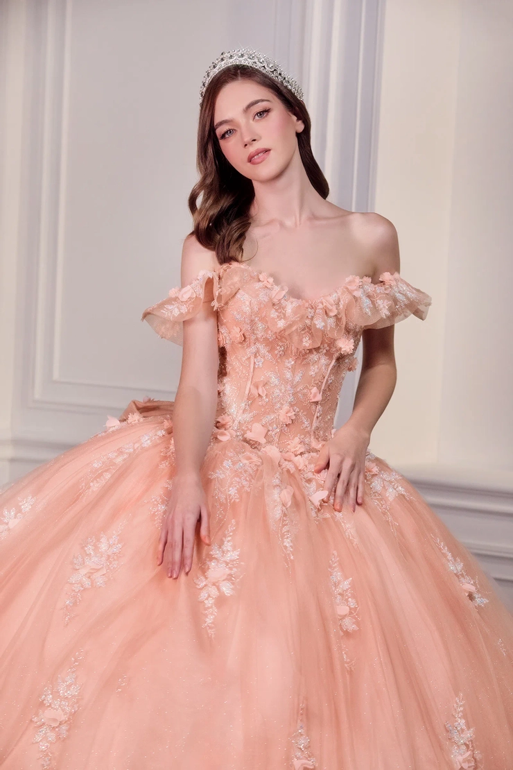 cinderella quinceanera dress pink Cinderella Couture 8420JQ Long Quinceanera Dress Pink / Medium