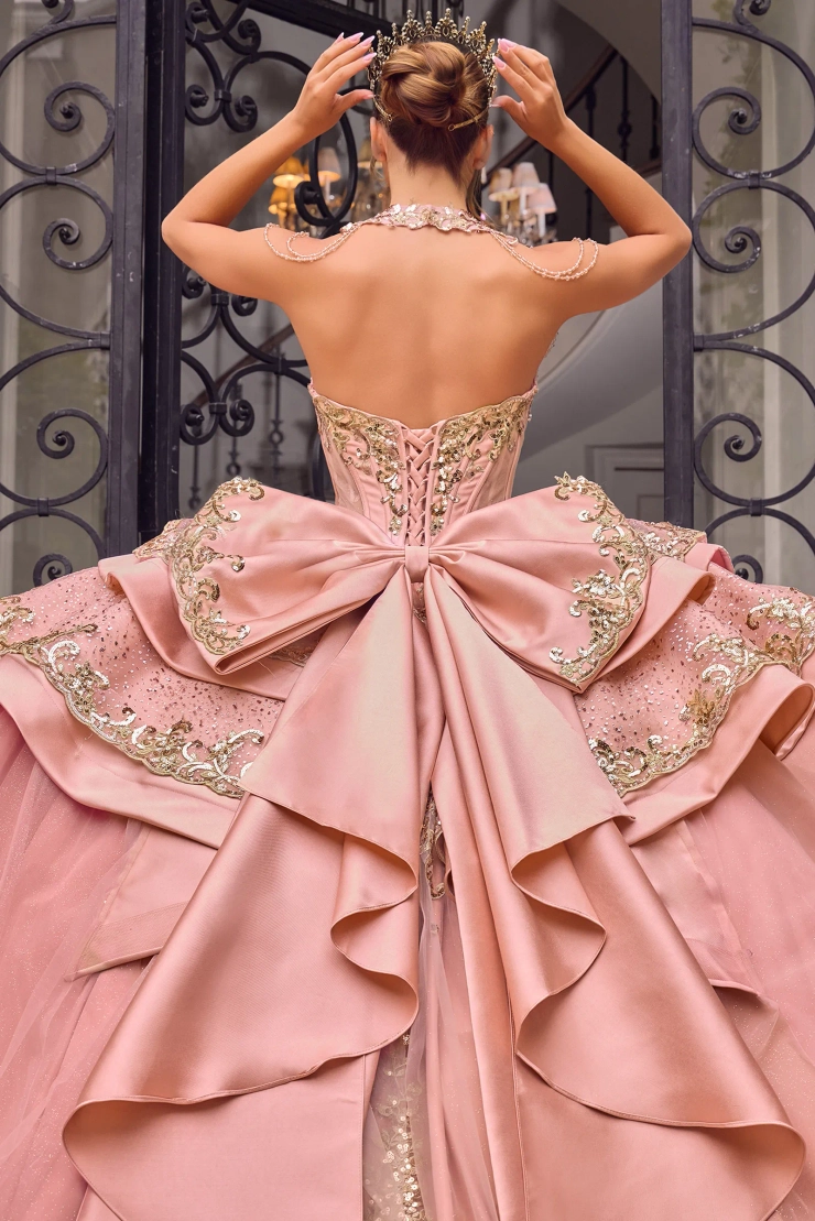 Ladivine by Cinderella Divine Style #15744 #4 backface vertical cropped picture
