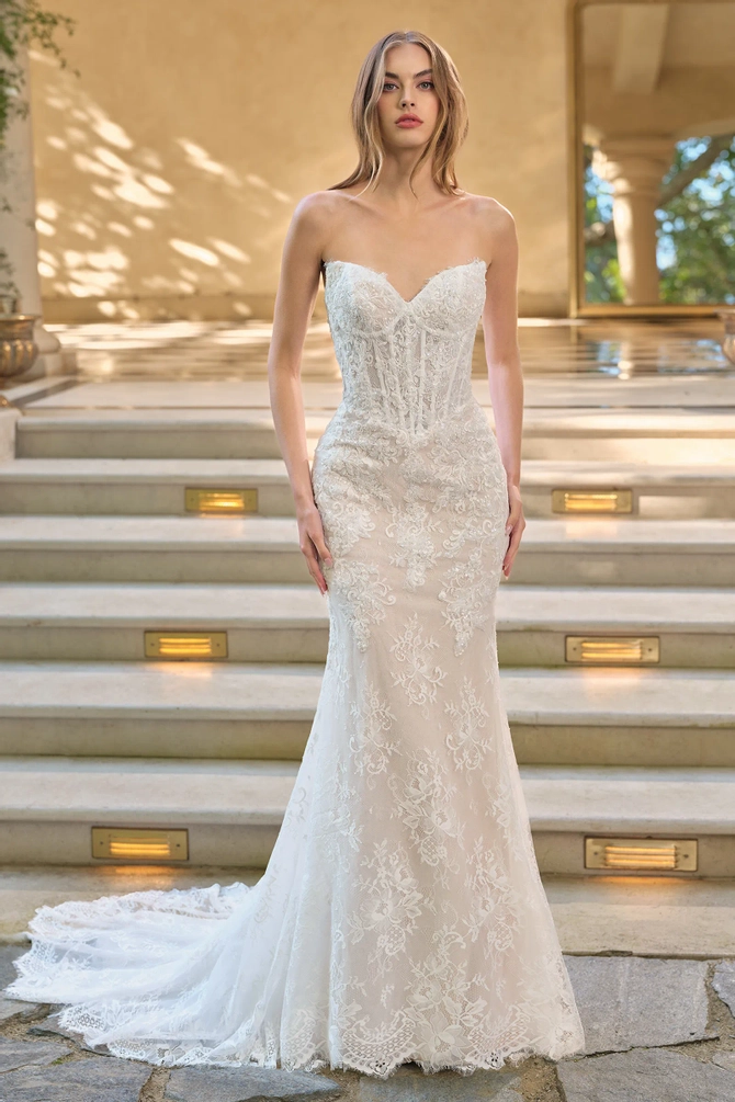 Andrea & Leo Couture - WL071 | Lex's of Carytown