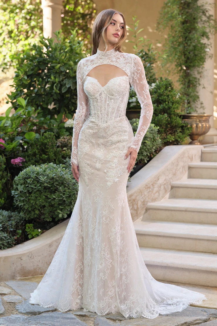 Andrea & Leo Couture - WL071 | Lex's of Carytown