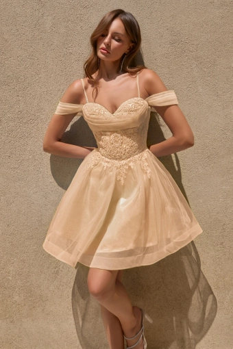 Cinderella Divine Style #CY024 #1 Champagne Gold frontface vertical thumbnail
