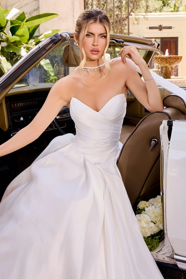 Ladivine by Cinderella Divine Style #WN015 #1 frontface vertical cropped picture