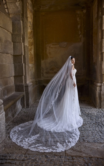 Veni Infantino 63207 #2 backface vertical thumbnail