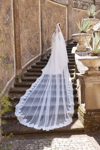 Veni Infantino #63225 #2 backface vertical thumbnail