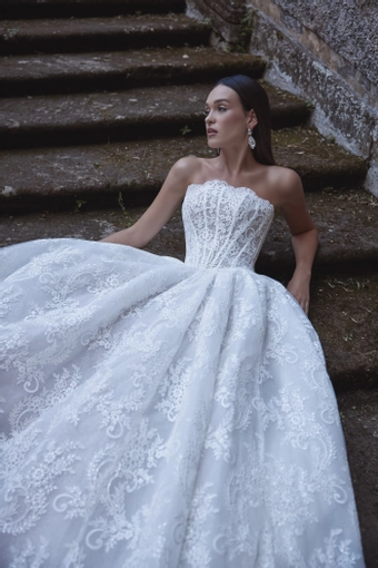 Veni Infantino 63231A #4 frontface vertical cropped thumbnail