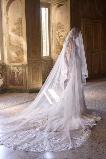 Veni Infantino 63233 #2 backface vertical thumbnail