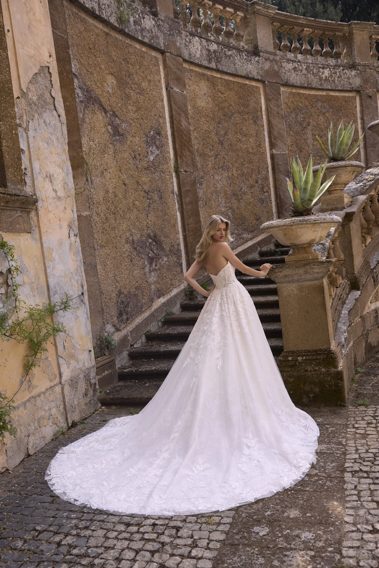 Veni Infantino Style #63248 #1 default backface vertical picture