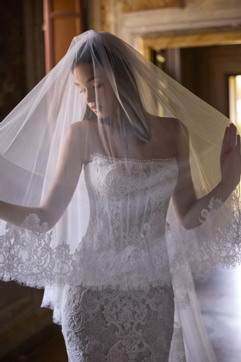 Veni Infantino 63266 #6 frontface vertical cropped thumbnail