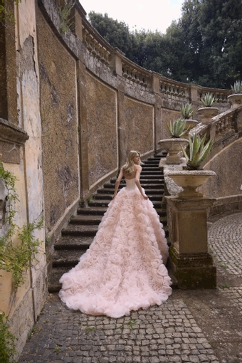 Veni Infantino 63279 #1 default backface vertical thumbnail