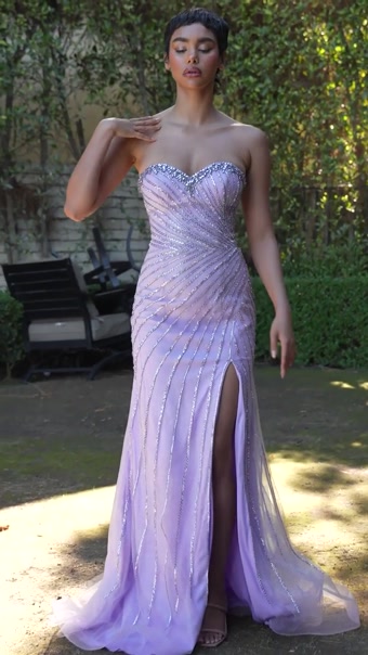 Style #C166 #1 autoplay loop mute thumbnail