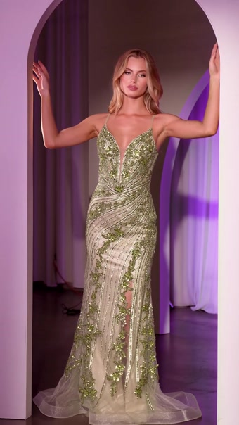 Patrick #15 autoplay loop mute thumbnail