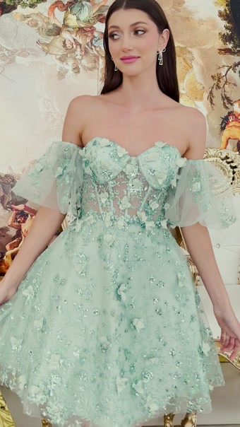 Boston #14 autoplay loop mute thumbnail