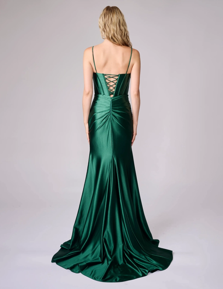 Nina Canacci Style #1609 #9 backface vertical picture