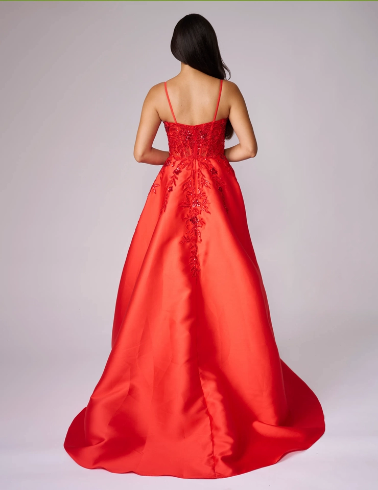 Nina Canacci Style #3282 #3 backface vertical picture