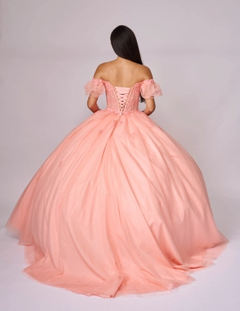 Nina Canacci Style: Q2025 #2 backface vertical thumbnail