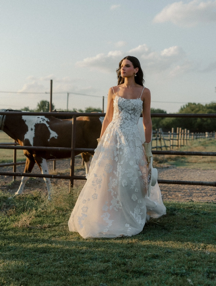 Locket Orchid Default Thumbnail Image