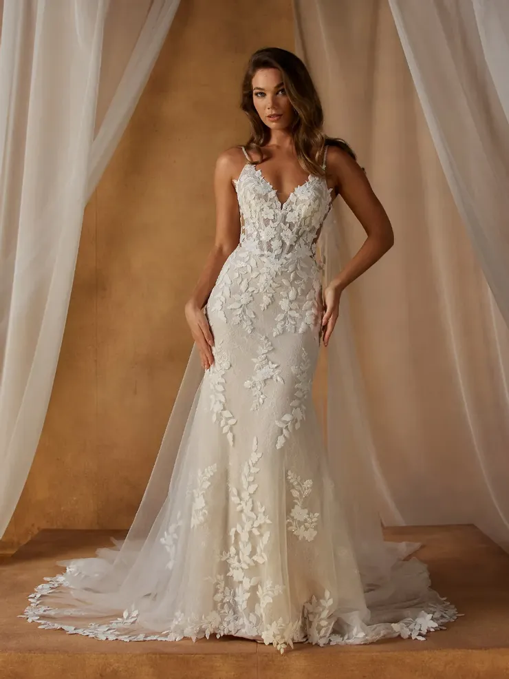 Madi Lane Nicola Image