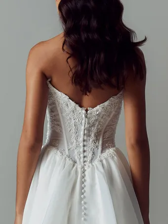 Evie Young Cherie #3 backface vertical cropped thumbnail