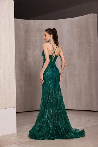 Jadore Evening J28042 #7 backface vertical thumbnail