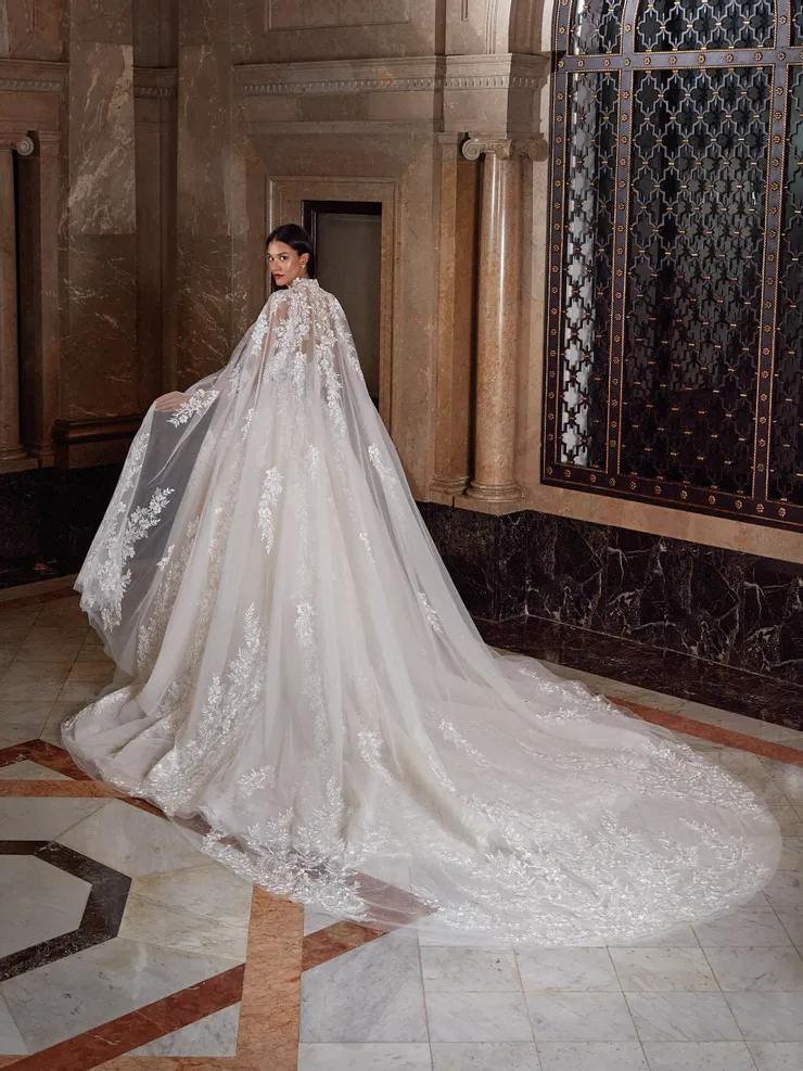 Demetrios Platinum  DP540